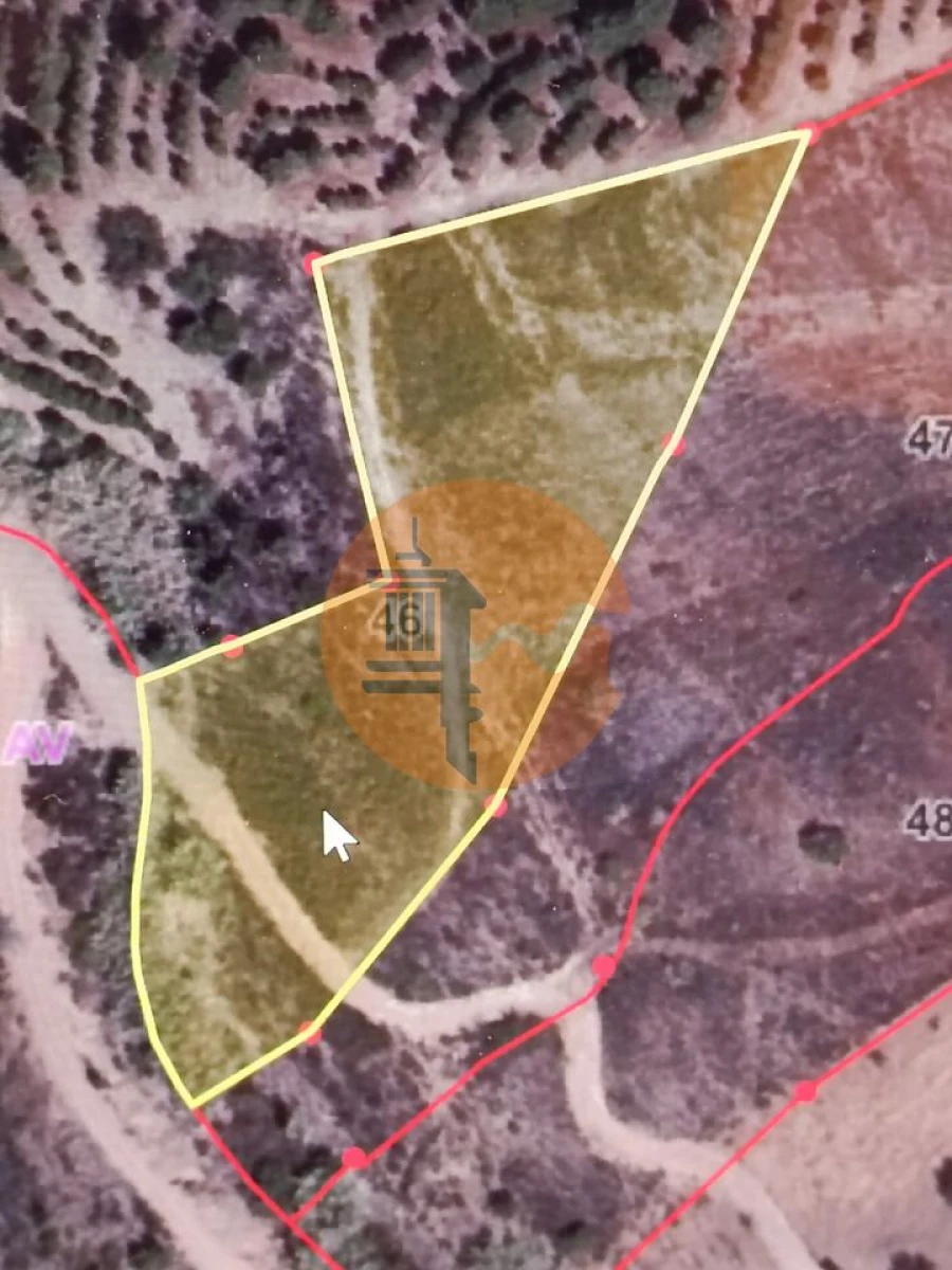 Terreno para Venda em Azinhal Foto 2