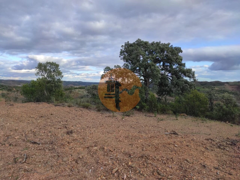 Terreno para Venda em Azinhal Foto 1