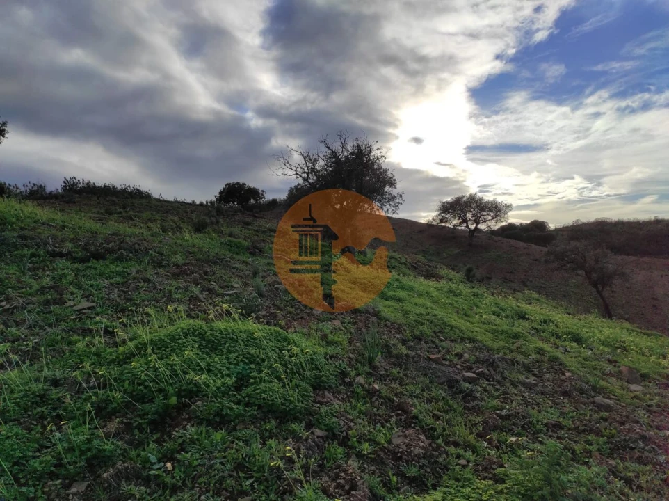 Terreno para Venda em Azinhal Foto 13