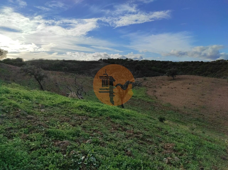 Terreno para Venda em Azinhal Foto 14