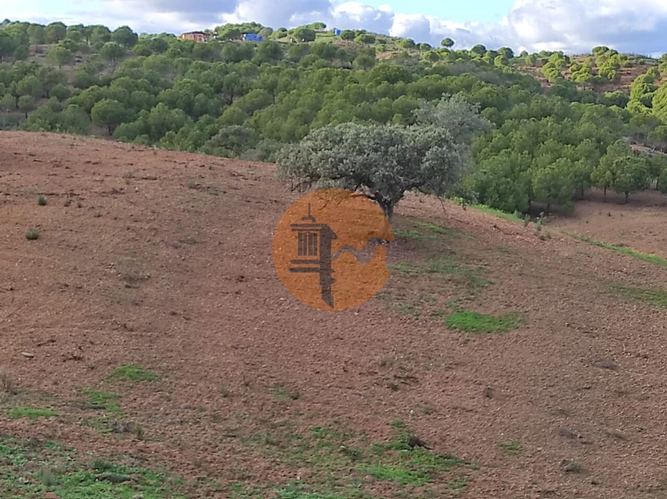 Terreno para Venda em Azinhal Foto 15