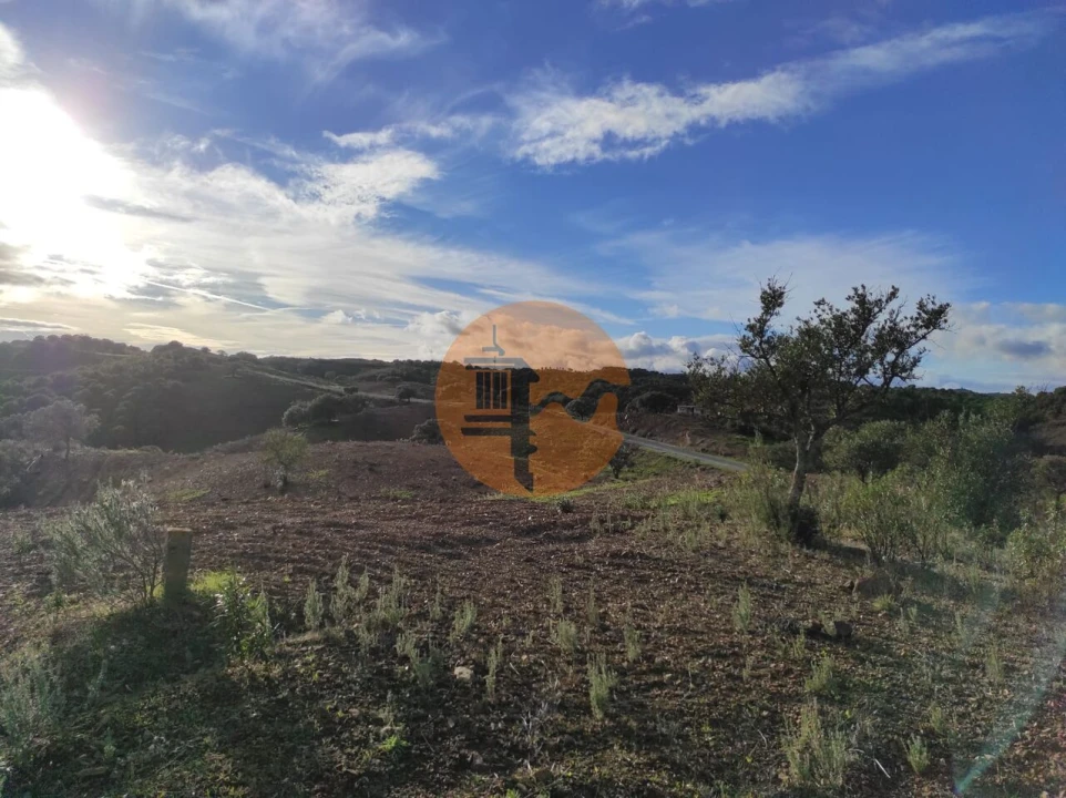 Terreno para Venda em Azinhal Foto 19