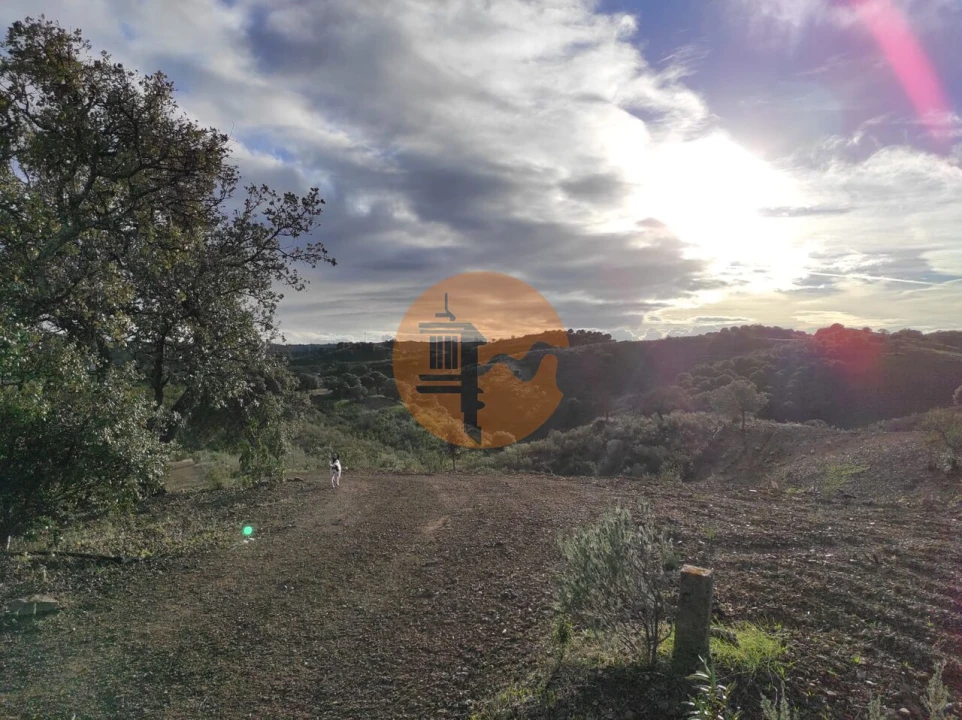 Terreno para Venda em Azinhal Foto 20