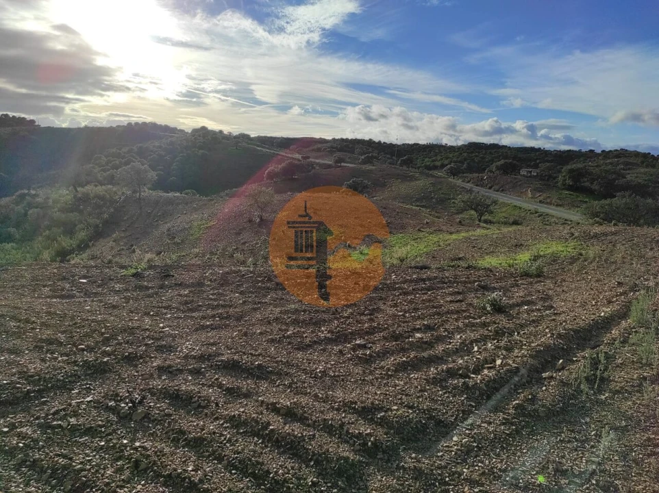 Terreno para Venda em Azinhal Foto 21