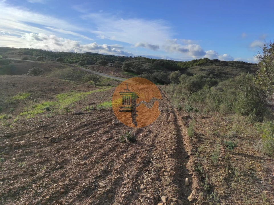 Terreno para Venda em Azinhal Foto 22