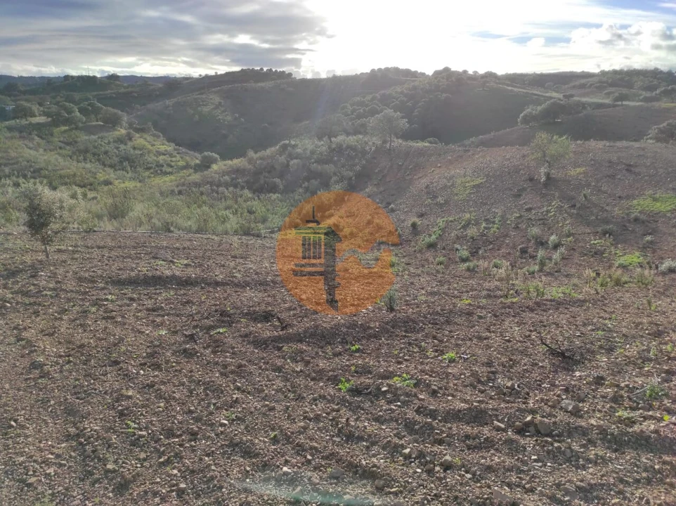 Terreno para Venda em Azinhal Foto 26
