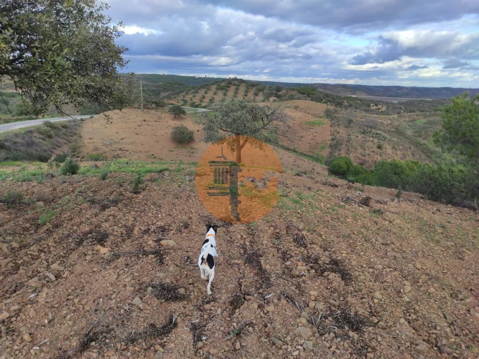 Terreno para Venda em Azinhal Foto 3