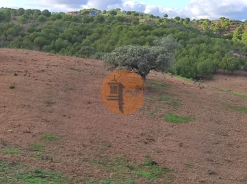Terreno para Venda em Azinhal