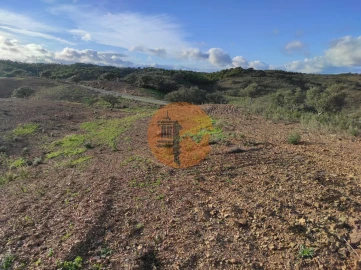 Terreno para Venda em Azinhal