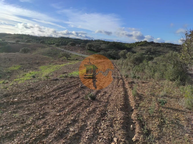 Terreno para Venda em Azinhal Foto 22