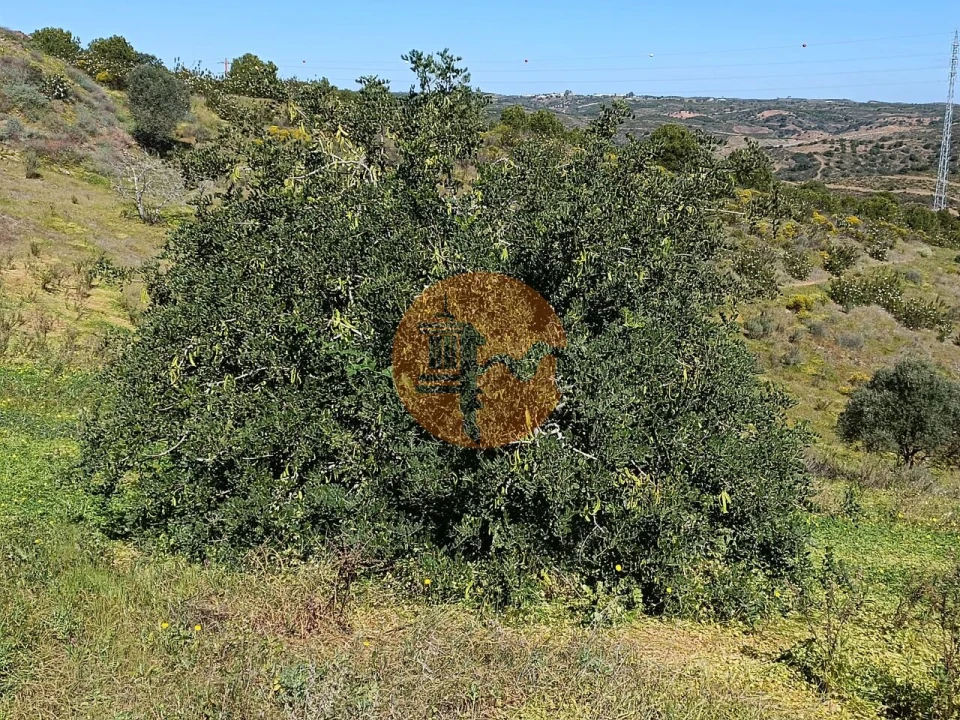 Terreno para Venda em Castro Marim Foto 15