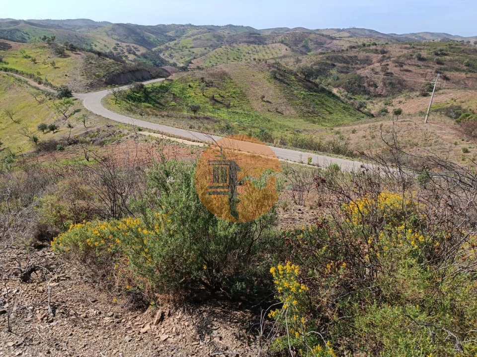 Terreno para Venda em Azinhal Foto 1