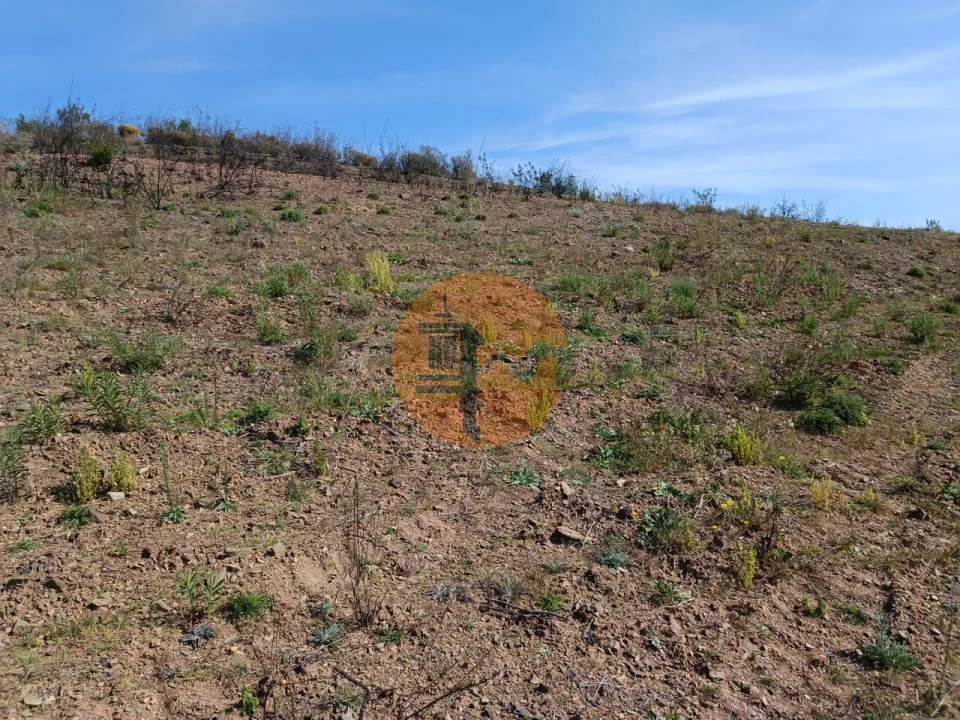 Terreno para Venda em Azinhal Foto 5