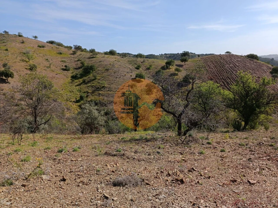 Terreno para Venda em Azinhal Foto 6