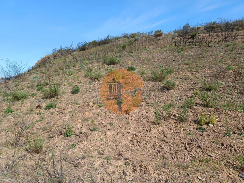 Terreno para Venda em Azinhal Foto 7
