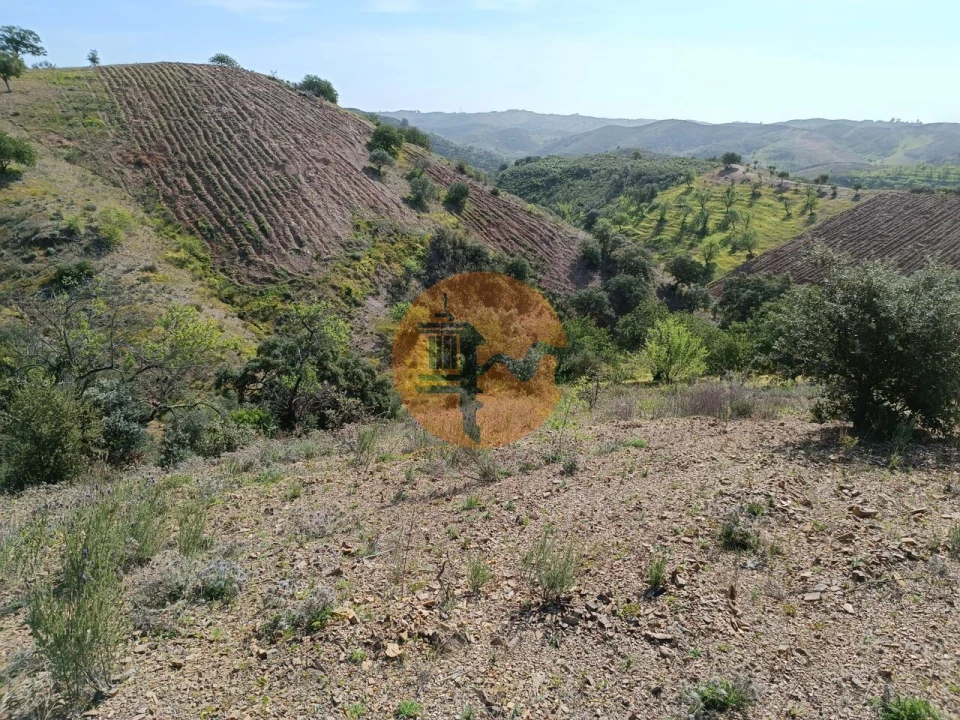 Terreno para Venda em Azinhal Foto 16