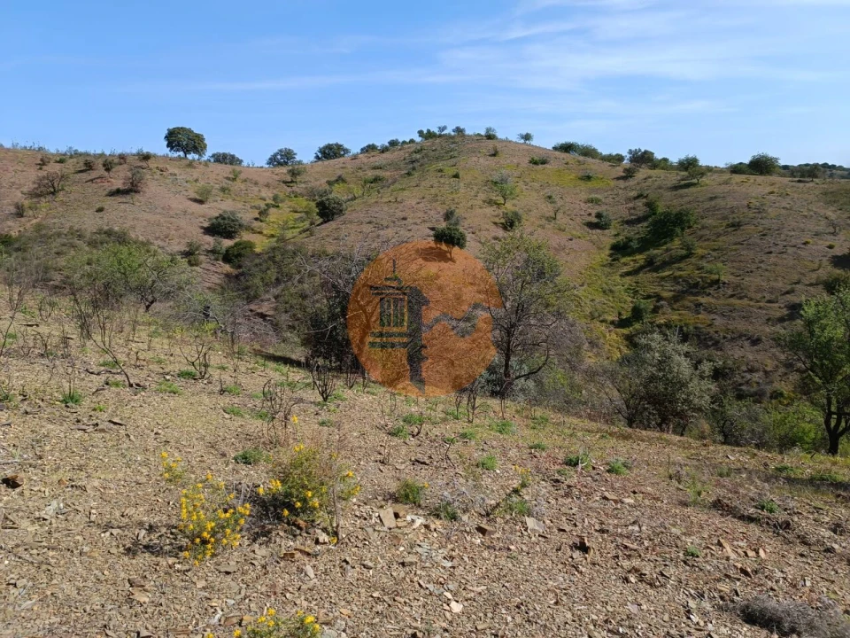 Terreno para Venda em Azinhal Foto 19