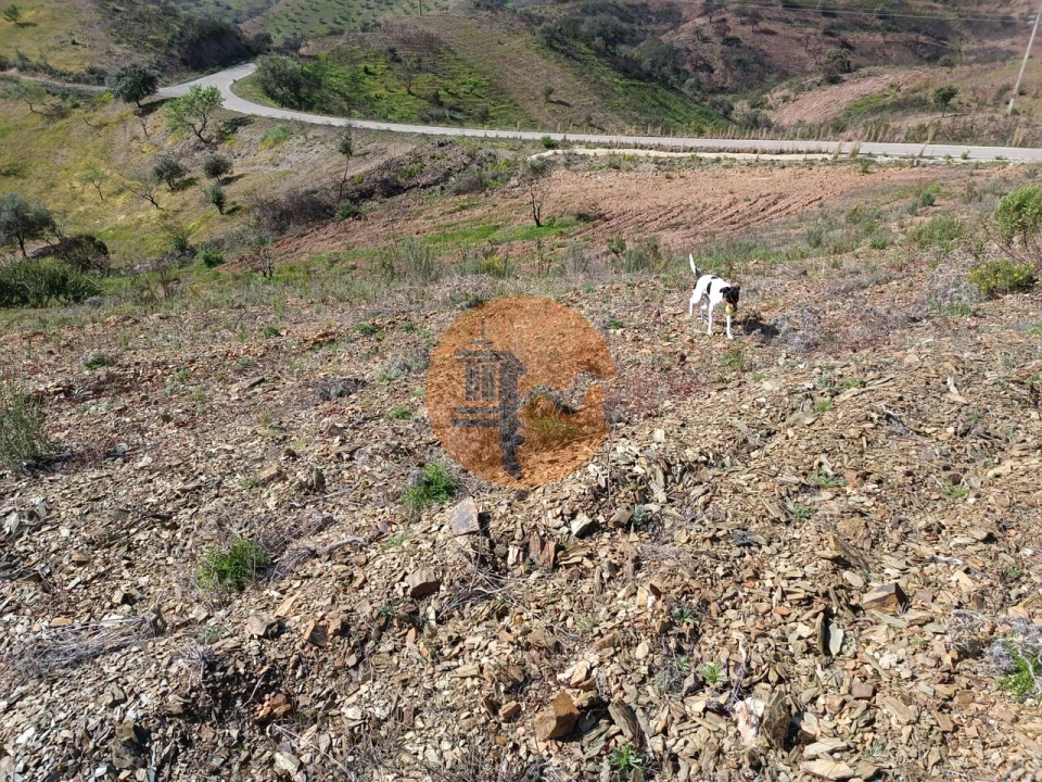 Terreno para Venda em Azinhal Foto 22
