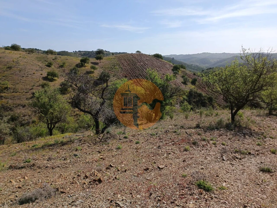 Terreno para Venda em Azinhal Foto 23