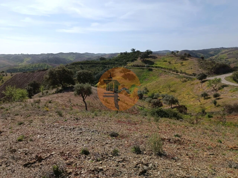 Terreno para Venda em Azinhal Foto 24