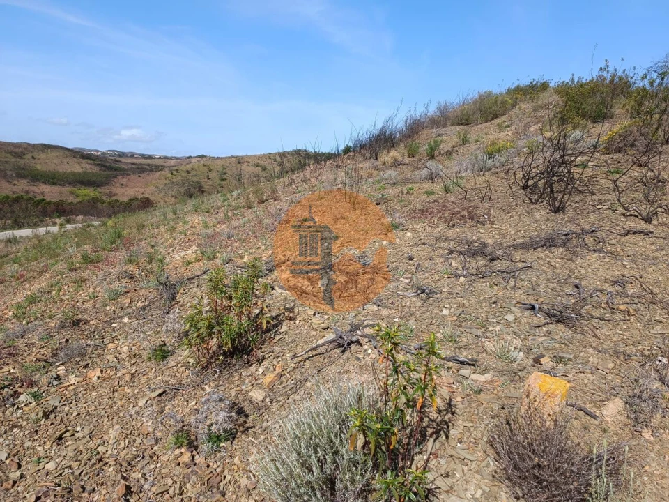Terreno para Venda em Azinhal Foto 25
