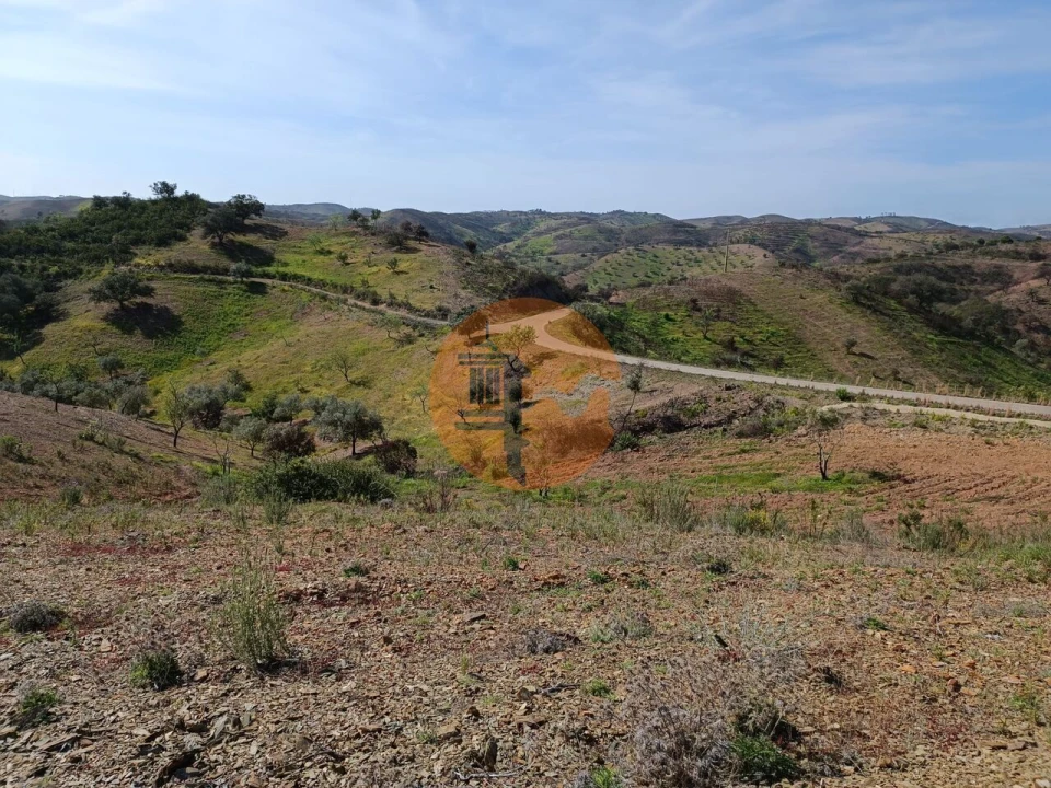 Terreno para Venda em Azinhal Foto 26