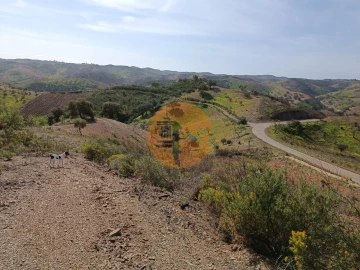 Terreno para Venda em Azinhal