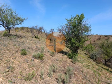 Terreno para Venda em Azinhal