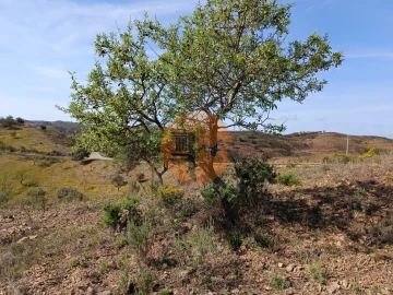 Terreno para Venda em Azinhal
