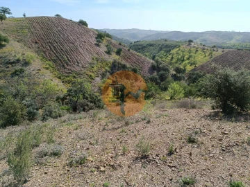 Terreno para Venda em Azinhal