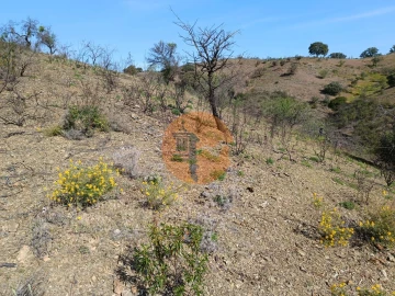 Terreno para Venda em Azinhal