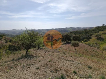 Terreno para Venda em Azinhal