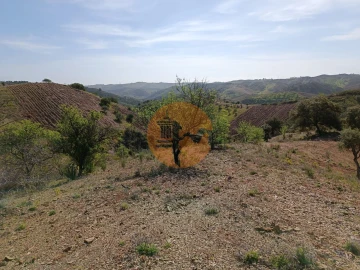 Terreno para Venda em Azinhal