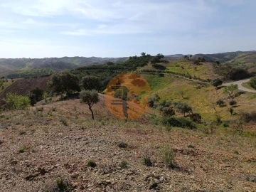 Terreno para Venda em Azinhal