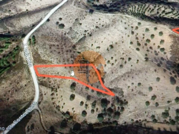 Terreno para Venda em Azinhal