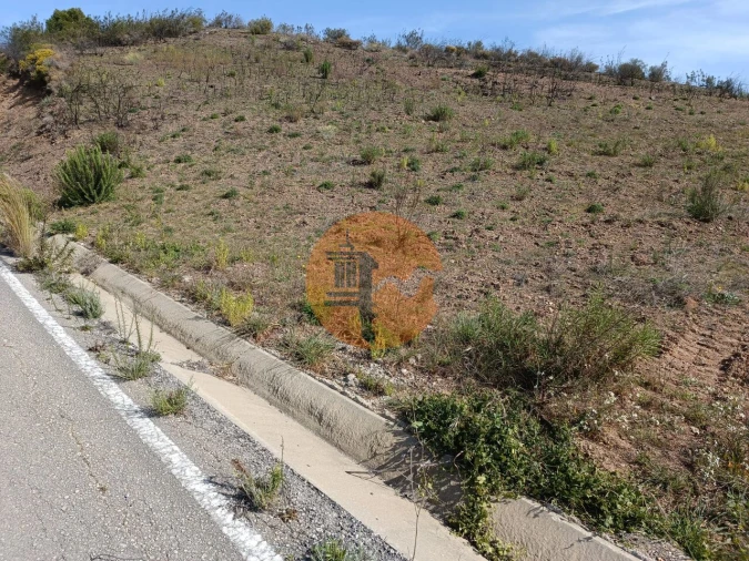 Terreno para Venda em Azinhal Foto 4