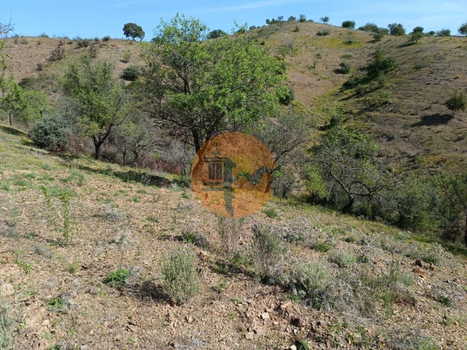 Terreno para Venda em Azinhal Foto 8