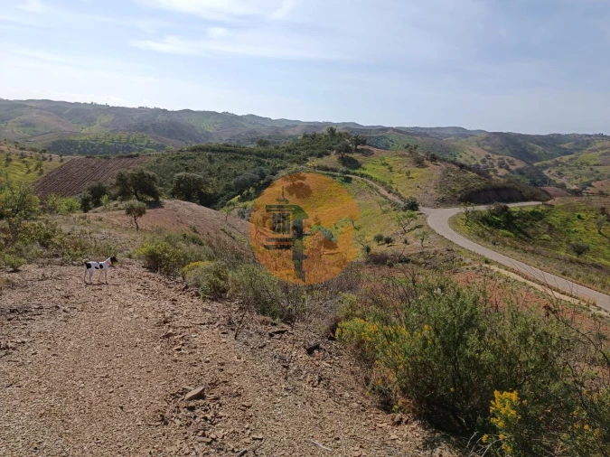 Terreno para Venda em Azinhal Foto 10