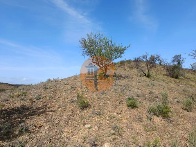 Terreno para Venda em Azinhal Foto 12