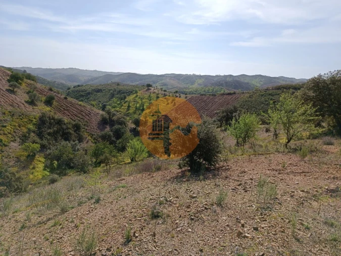 Terreno para Venda em Azinhal Foto 15