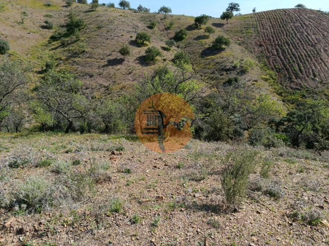 Terreno para Venda em Azinhal Foto 17