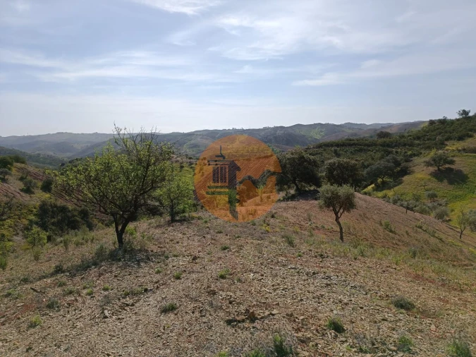 Terreno para Venda em Azinhal Foto 20