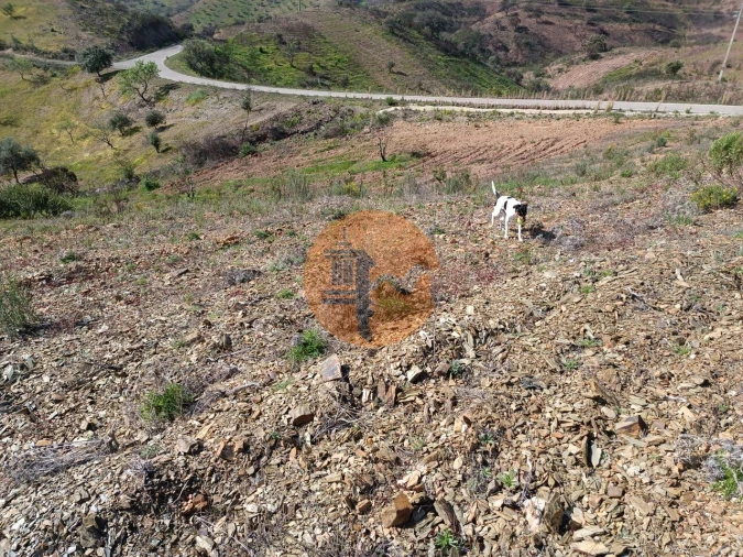 Terreno para Venda em Azinhal Foto 22