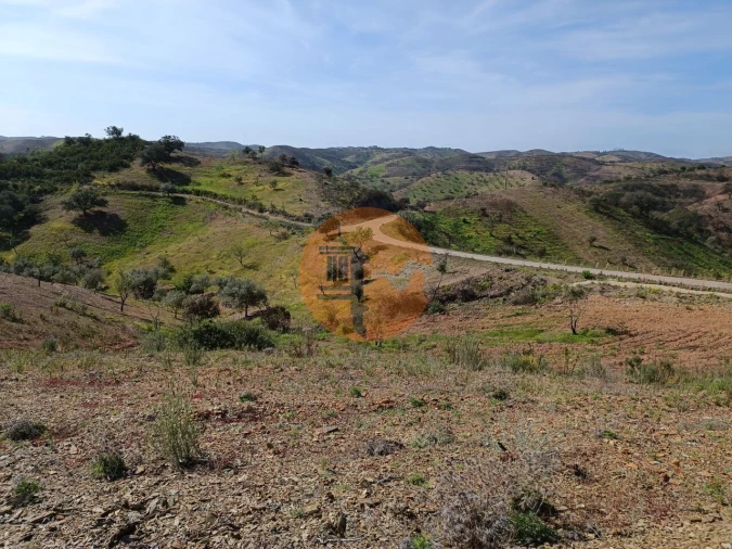 Terreno para Venda em Azinhal Foto 26