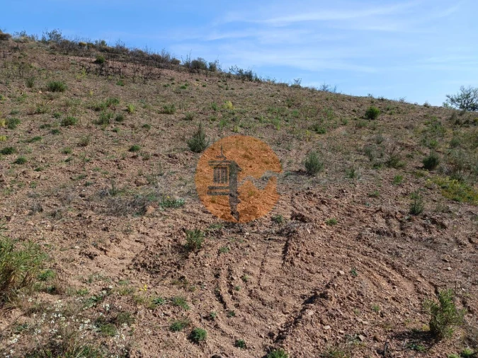 Terreno para Venda em Azinhal Foto 27