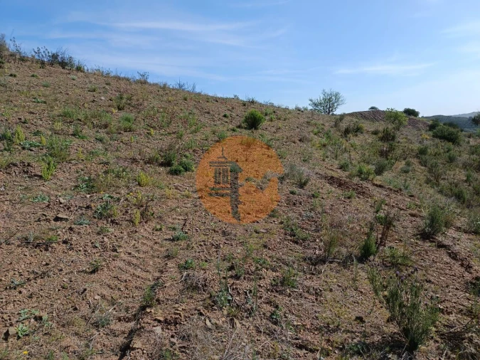 Terreno para Venda em Azinhal Foto 28