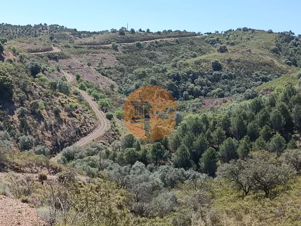 Terreno para Venda em Odeleite Foto 9