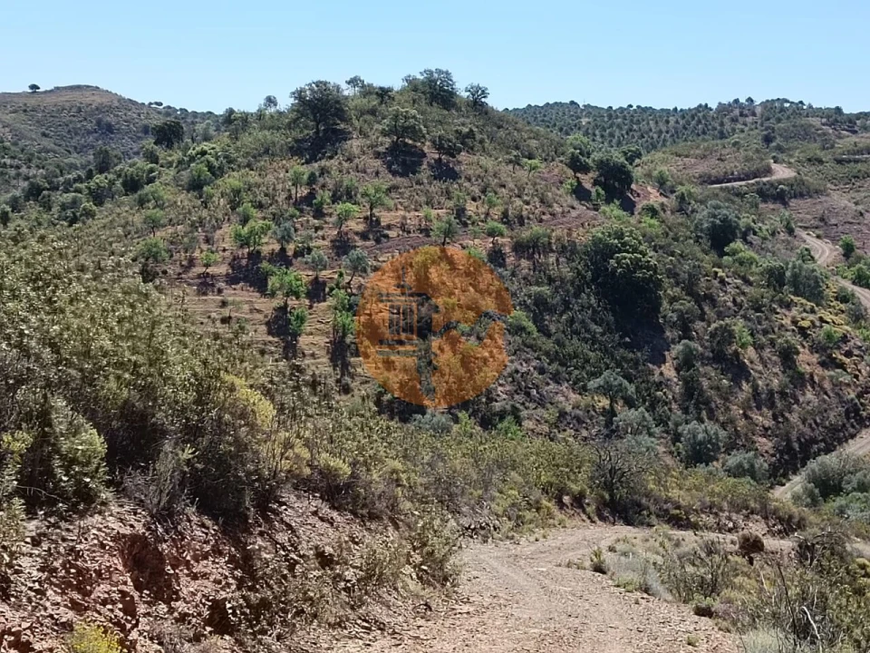 Terreno para Venda em Odeleite Foto 10