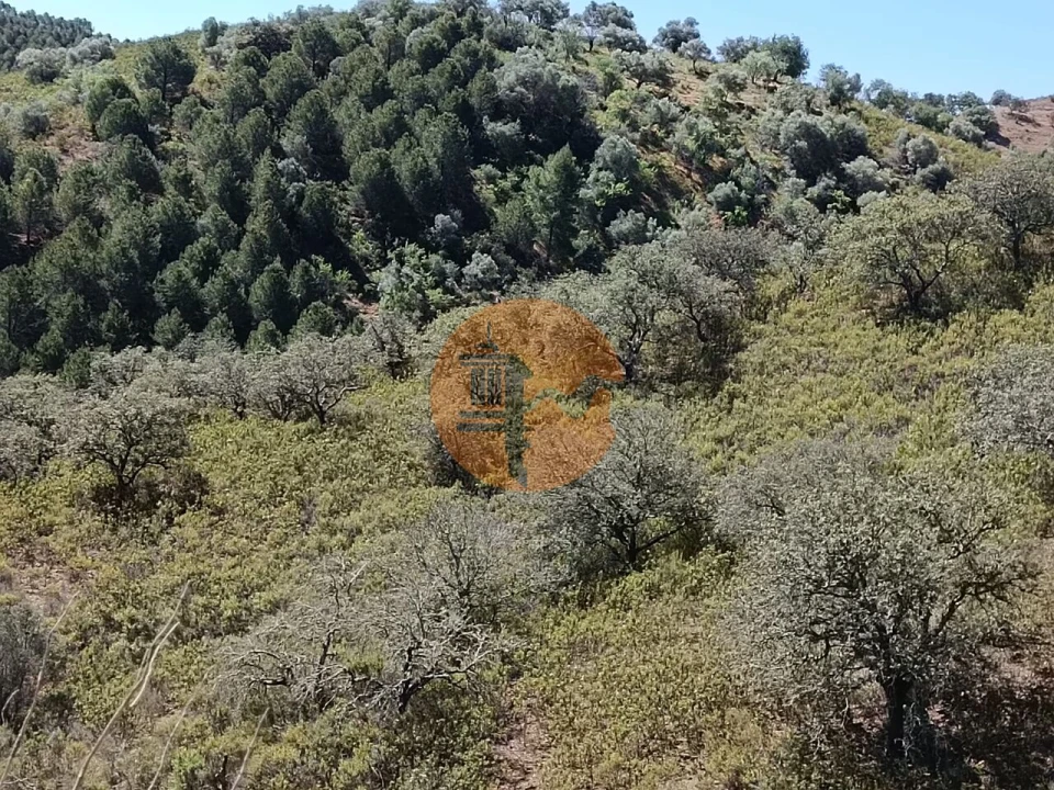 Terreno para Venda em Odeleite Foto 11