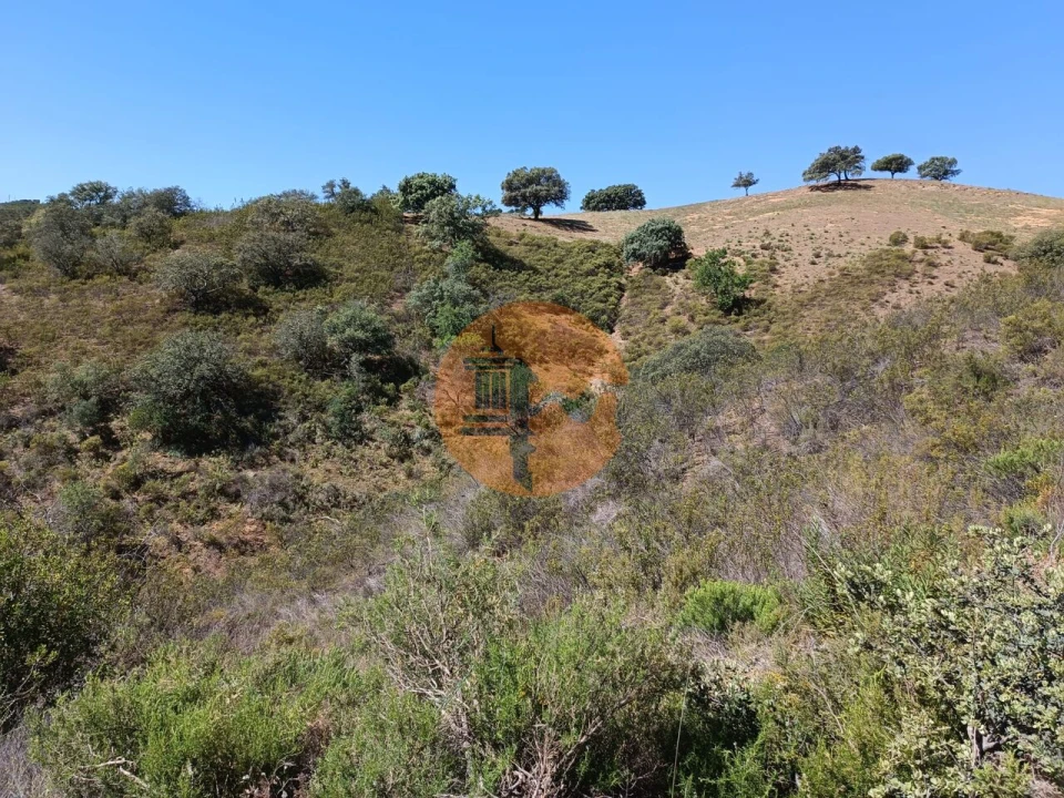 Terreno para Venda em Odeleite Foto 16